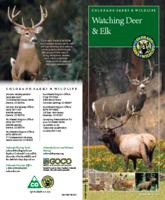 Watching deer & elk