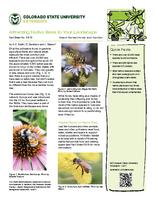 Attracting native bees to your landscape
