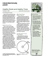 Healthy roots and healthy trees