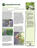 Creating pollinator habitat