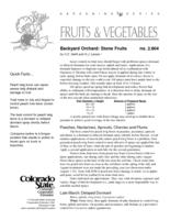 Backyard orchard : stone fruits