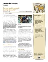 Caring for livestock during disaster