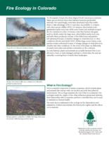 Fire ecology in Colorado