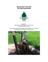 Adams State University tree risk assessment