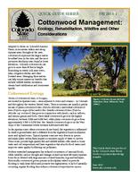 Cottonwood management : ecology, rehabilitation, wildfire and other considerations