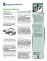 Coping with skunks