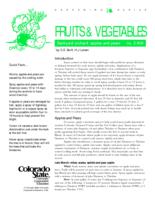 Backyard orchard : apples and pears