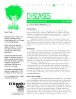 Juniper-hawthorn rust