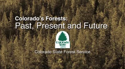 Colorado's forests : today's challenges, tomorrow's opportunities