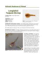 Colorado crustaceans of interest
