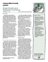Grass growth and response to grazing