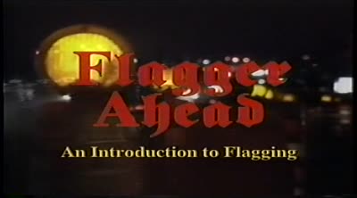 Flagger ahead : an introduction to flagging