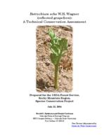 Botrychium echo W.H. Wagner (reflected grapefern) : a technical conservation assessment