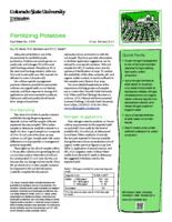 Fertilizing potatoes