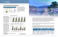 Upper Arkansas workforce region labor market information