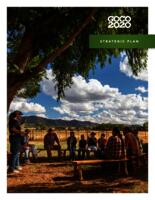 GOCO 2020 strategic plan