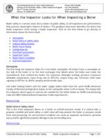 What the inspector looks for when inspecting a boiler