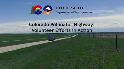 Colorado's pollinator highway, volunteer efforts in action