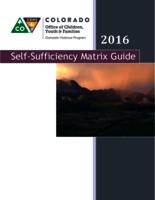 2016 self-sufficiency matrix guide
