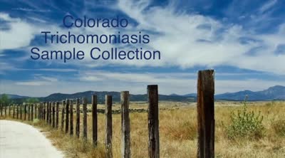 Colorado trichomoniasis sample collection