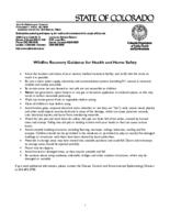 Wildfire recovery guidance for health and home safety