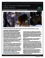 Gatos monteses norteamericanos, pumas y linces : preguntas frecuentes sobre el manejo de la población felina salvaje de Colorado