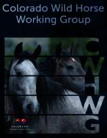 Colorado Wild Horse Working Group