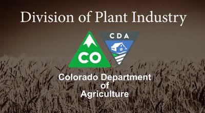Division of Plant Industry