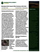 Managing cattle impacts when grazing on wet soils