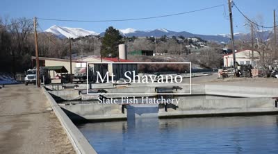 Mt. Shavano, state fish hatchery
