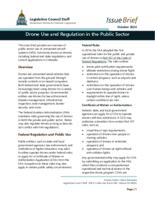 Drone use and regulation in the public sector