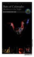 Bats of Colorado : shadows in the night