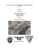 Canyon of the Ancients National Monument amphibian and reptile inventory