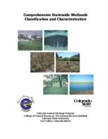 Comprehensive statewide wetlands classification and characterization