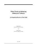 What works in reducing adolescent violence : an empirical review of the field