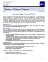 Guiding good choices