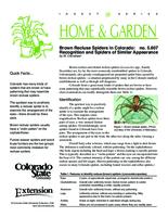 Brown recluse spiders in Colorado : recognition and spiders of similar appearance