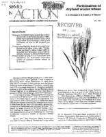 Fertilization of dryland winter wheat
