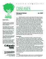 Cytospora canker