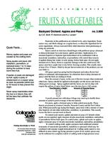 Backyard orchard : apples and pears