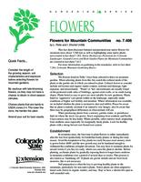 Flowers for mountain communities