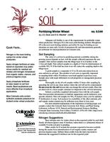 Fertilizing winter wheat