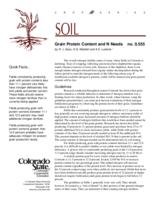 Grain protein content and N needs