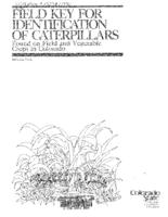 Field key for identification of caterpillars found on field and vegetable crops in Colorado