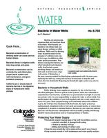 Bacteria in water wells