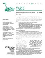Xeriscaping : ground cover plants