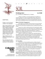 Fertilizing corn