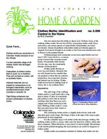 Clothes moths : identification and control in the home