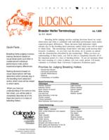 Breeder heifer terminology