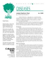 Juniper-hawthorn rust